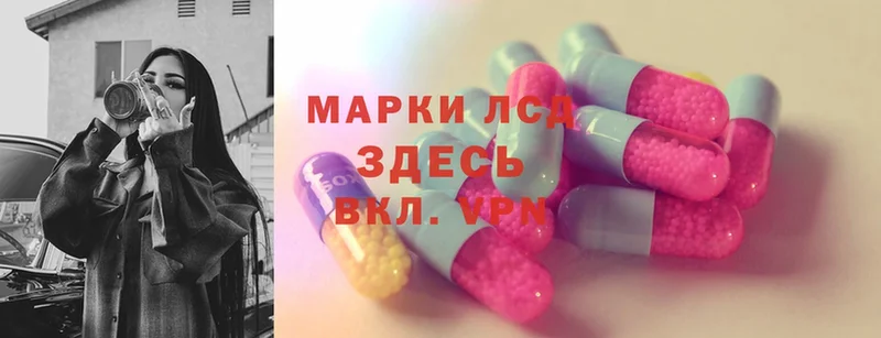 продажа наркотиков  Кедровый  MEGA ССЫЛКА  ЛСД экстази ecstasy 